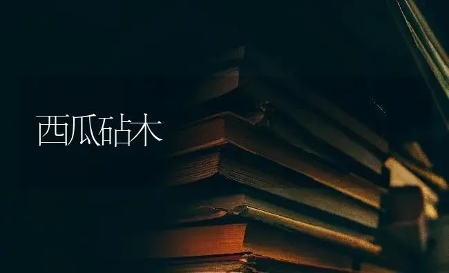 西瓜砧木 | 蔬菜种植