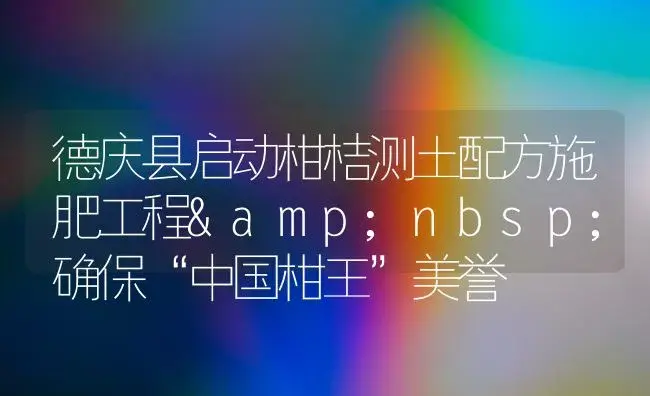 德庆县启动柑桔测土配方施肥工程 确保“中国柑王”美誉 | 植物肥料