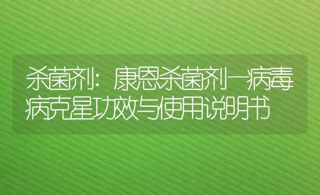 杀菌剂：康恩杀菌剂—病毒病克星 | 适用防治对象及农作物使用方法说明书 | 植物农药