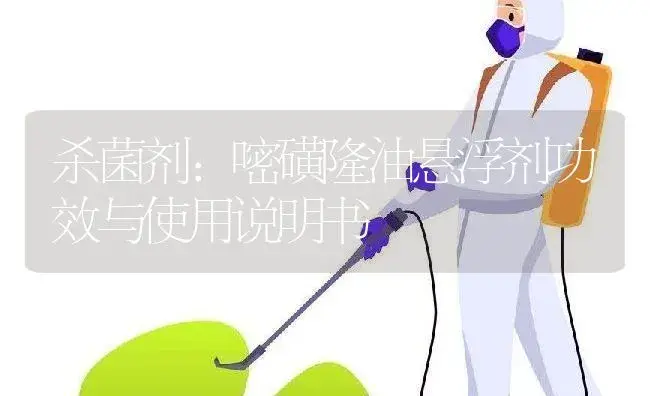 杀菌剂：嘧磺隆油悬浮剂 | 适用防治对象及农作物使用方法说明书 | 植物农药