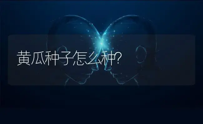 黄瓜种子怎么种？ | 蔬菜种植