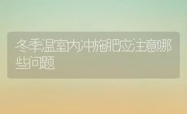 冬季温室内冲施肥应注意哪些问题 | 植物肥料