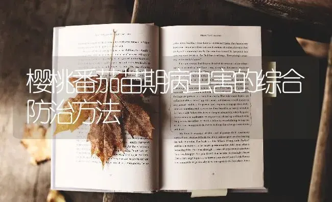 樱桃番茄苗期病虫害的综合防治方法 | 蔬菜种植