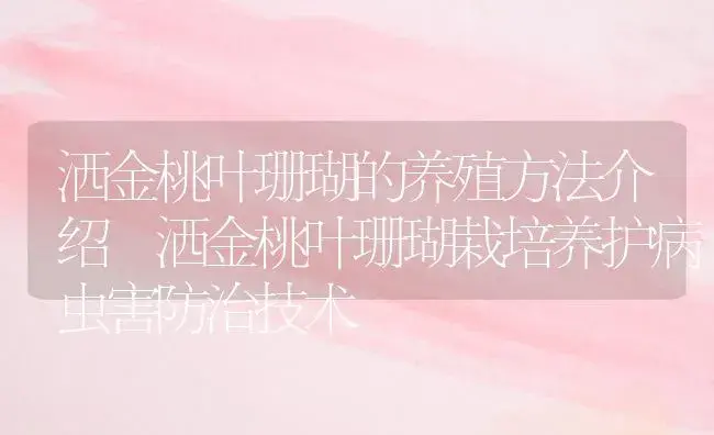 洒金桃叶珊瑚的养殖方法介绍 洒金桃叶珊瑚栽培养护病虫害防治技术 | 植物病虫害