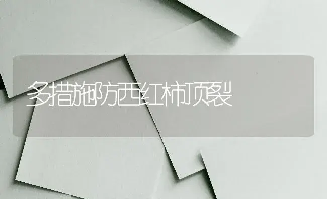 多措施防西红柿顶裂 | 蔬菜种植