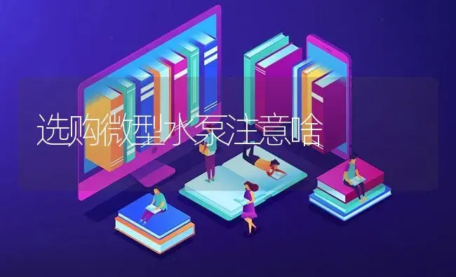 选购微型水泵注意啥 | 农资农机
