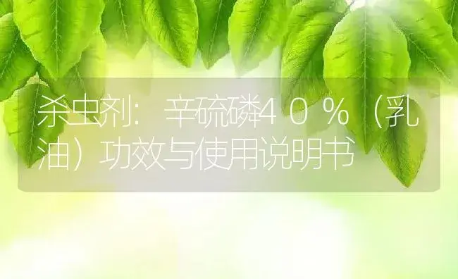 杀虫剂：辛硫磷40%（乳油） | 适用防治对象及农作物使用方法说明书 | 植物农药