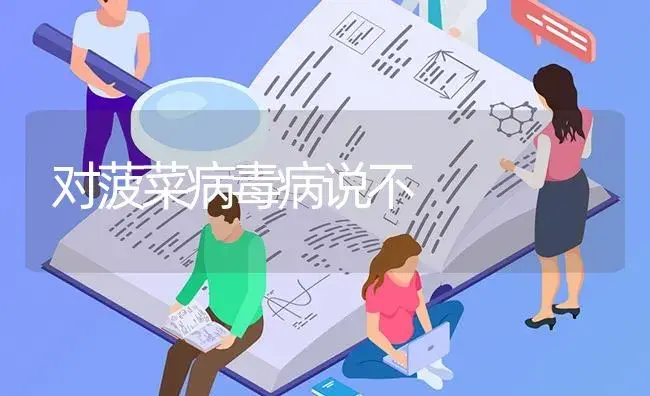 关于辣椒在播种育苗时要注意的一些农化知识 | 蔬菜种植