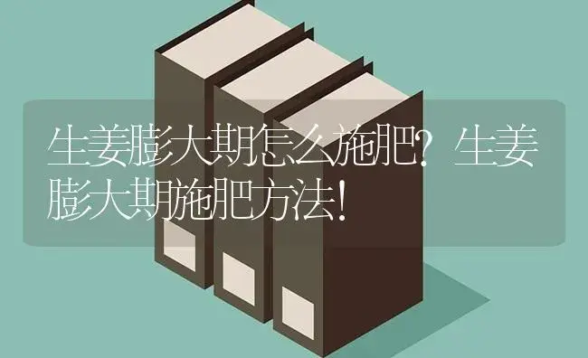 生姜膨大期怎么施肥？生姜膨大期施肥方法！ | 蔬菜种植