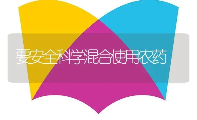 果树内膛和下裙苹果为何易患苦痘病 | 植物病虫害