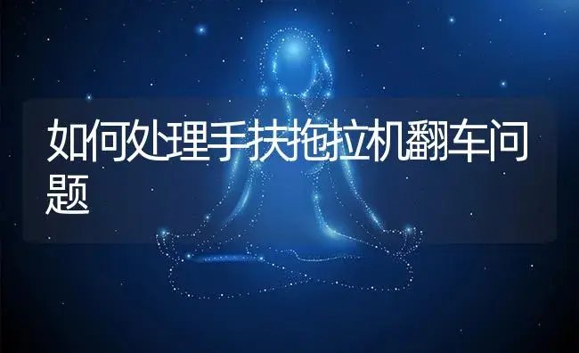 如何处理手扶拖拉机翻车问题 | 农资农机