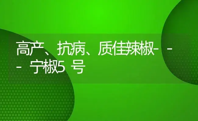 高产、抗病、质佳辣椒---宁椒5号 | 植物病虫害