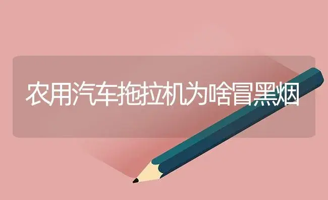 农用汽车拖拉机为啥冒黑烟 | 农资农机