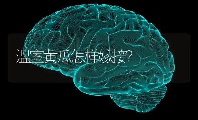 温室黄瓜怎样嫁接？ | 蔬菜种植