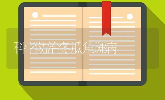 科学防治冬瓜角斑病 | 蔬菜种植