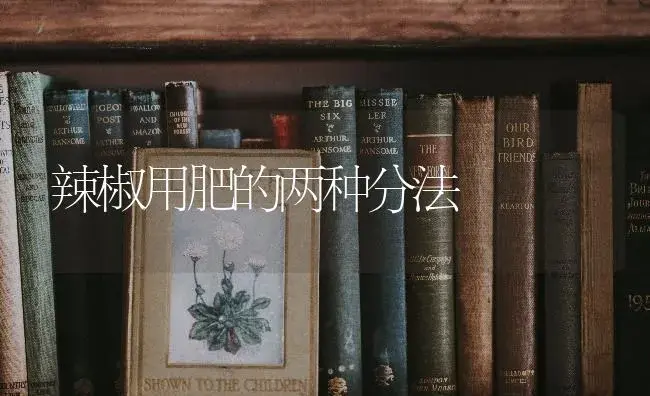 辣椒用肥的两种分法 | 蔬菜种植