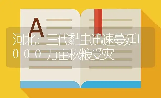 河北：三代黏虫迅速蔓延1000万亩秋粮受灾 | 植物病虫害