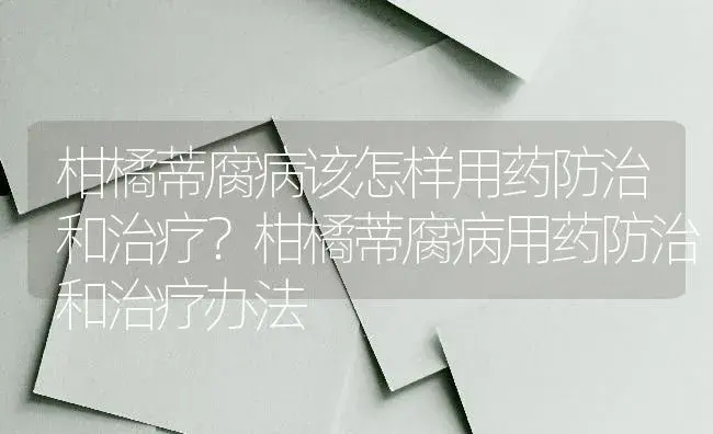 柑橘蒂腐病该怎样用药防治和治疗？柑橘蒂腐病用药防治和治疗办法 | 蔬菜种植