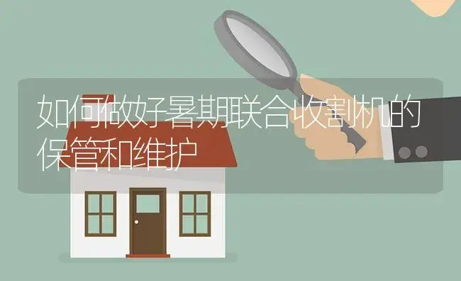 如何做好暑期联合收割机的保管和维护 | 农资农机