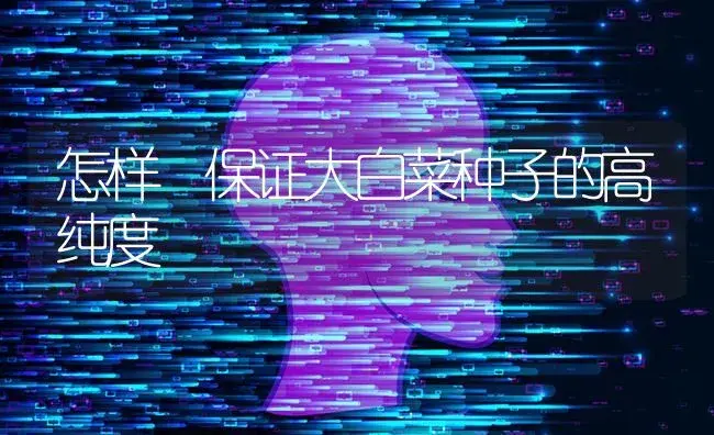 怎样 保证大白菜种子的高纯度 | 蔬菜种植