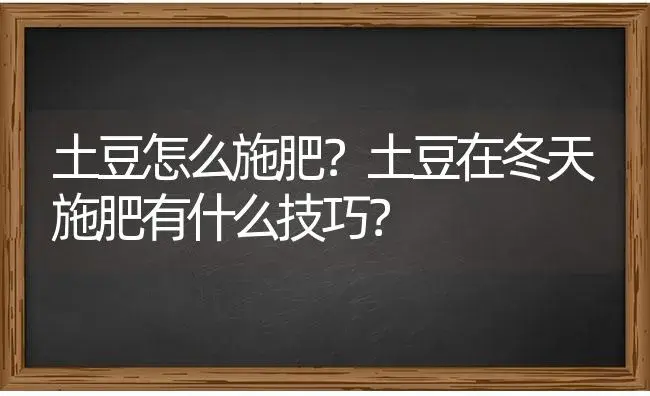 土豆怎么施肥？土豆在冬天施肥有什么技巧？ | 蔬菜种植