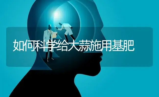 如何科学给大蒜施用基肥 | 蔬菜种植