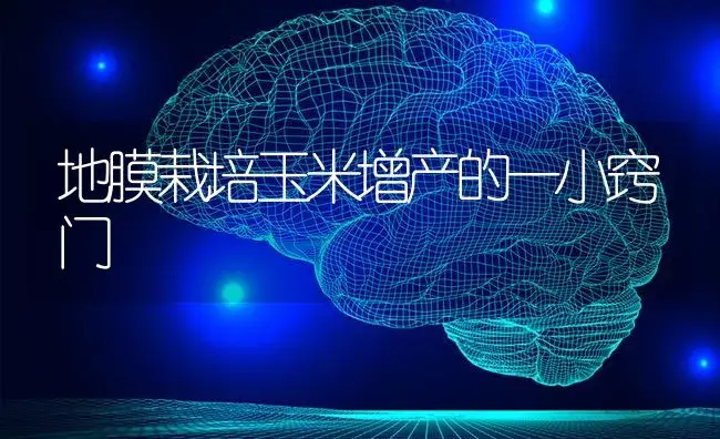 我家辣椒经常出现落花、落果、落叶是怎么回事？ | 蔬菜种植