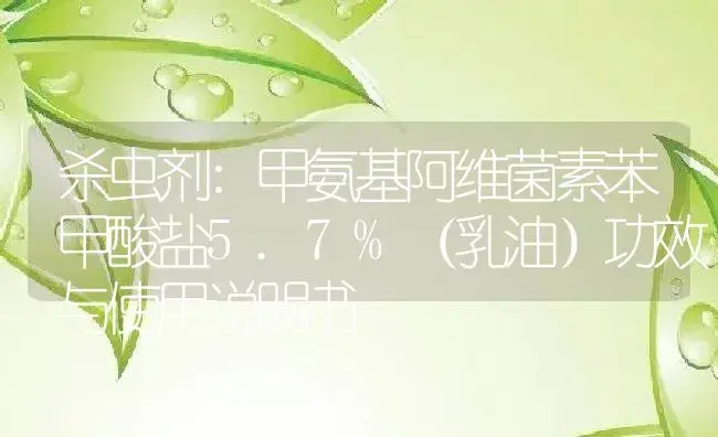 杀虫剂：甲氨基阿维菌素苯甲酸盐5.7%（乳油） | 适用防治对象及农作物使用方法说明书 | 植物农药