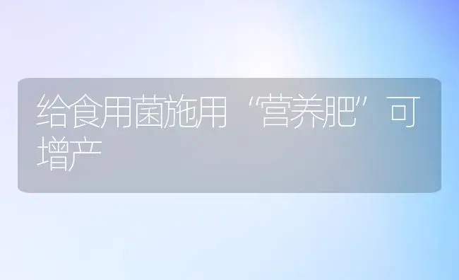 给食用菌施用“营养肥”可增产 | 植物肥料