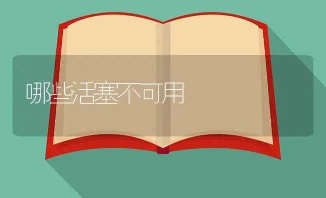 哪些活塞不可用 | 农资农机