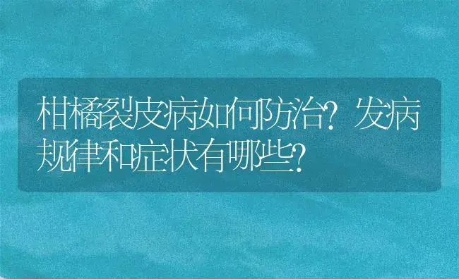 柑橘裂皮病如何防治？发病规律和症状有哪些？ | 植物病虫害