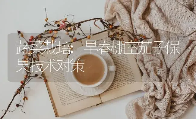 蔬菜栽培:早春棚室茄子保果技术对策 | 蔬菜种植