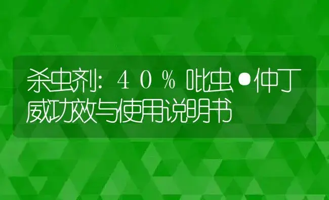 杀虫剂：40%吡虫·仲丁威 | 适用防治对象及农作物使用方法说明书 | 植物农药