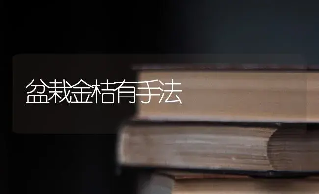 盆栽金桔有手法 | 蔬菜种植