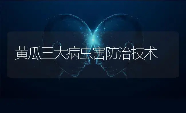 黄瓜三大病虫害防治技术 | 蔬菜种植