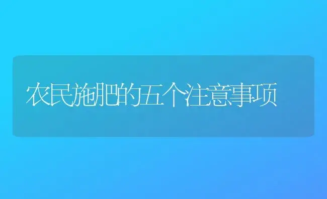 农民施肥的五个注意事项 | 植物肥料