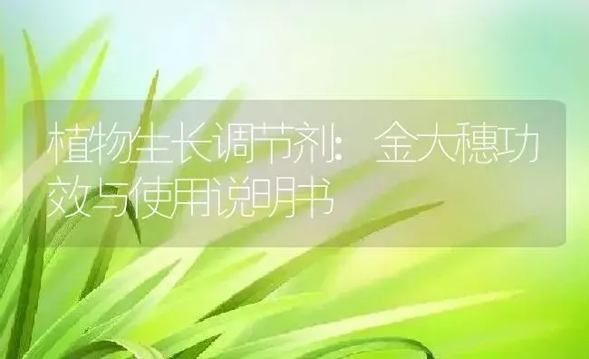 植物生长调节剂：金大穗 | 适用防治对象及农作物使用方法说明书 | 植物农药