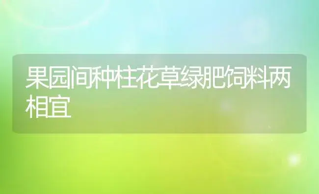 果园间种柱花草绿肥饲料两相宜 | 植物肥料