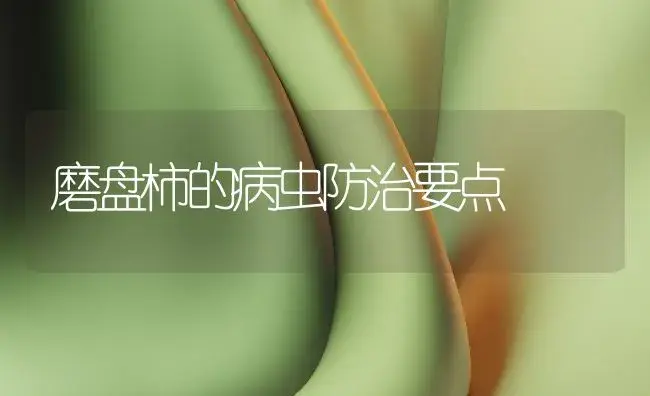 磨盘柿的病虫防治要点 | 植物病虫害