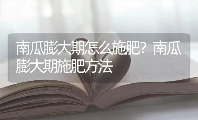 南瓜膨大期怎么施肥？南瓜膨大期施肥方法 | 蔬菜种植