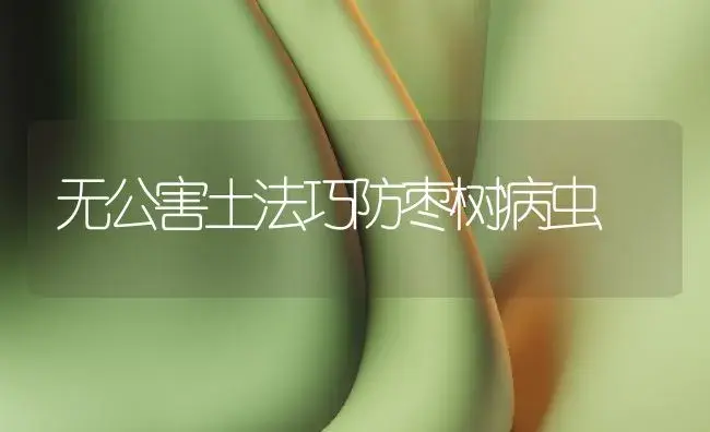 无公害土法巧防枣树病虫 | 植物病虫害