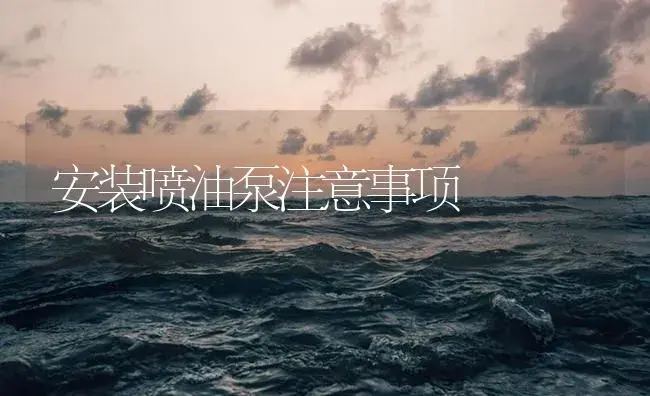 安装喷油泵注意事项 | 农资农机