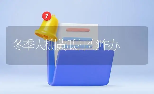 冬季大棚黄瓜打弯咋办 | 植物病虫害