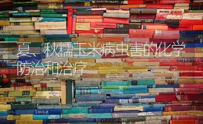 夏、秋糯玉米病虫害的化学防治和治疗 | 蔬菜种植