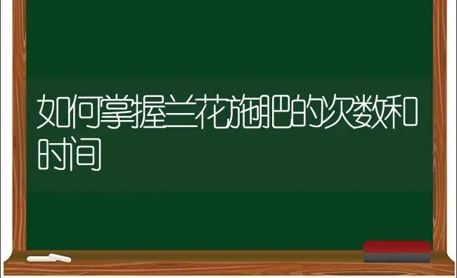 如何掌握兰花施肥的次数和时间 | 植物肥料