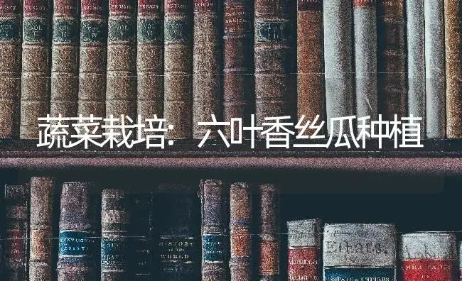 蔬菜栽培:六叶香丝瓜种植 | 蔬菜种植