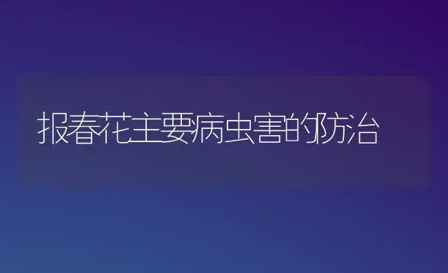 报春花主要病虫害的防治 | 植物病虫害