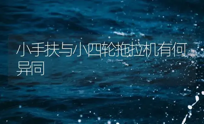 小手扶与小四轮拖拉机有何异同 | 农资农机