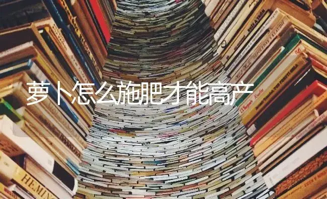 萝卜怎么施肥才能高产 | 蔬菜种植