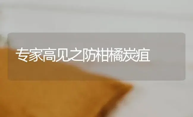 专家高见之防柑橘炭疽 | 蔬菜种植